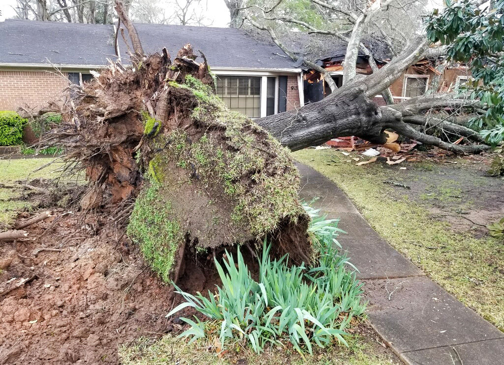 'It sounded like a bomb': Severe storm damages homes, knocks out power in East Texas